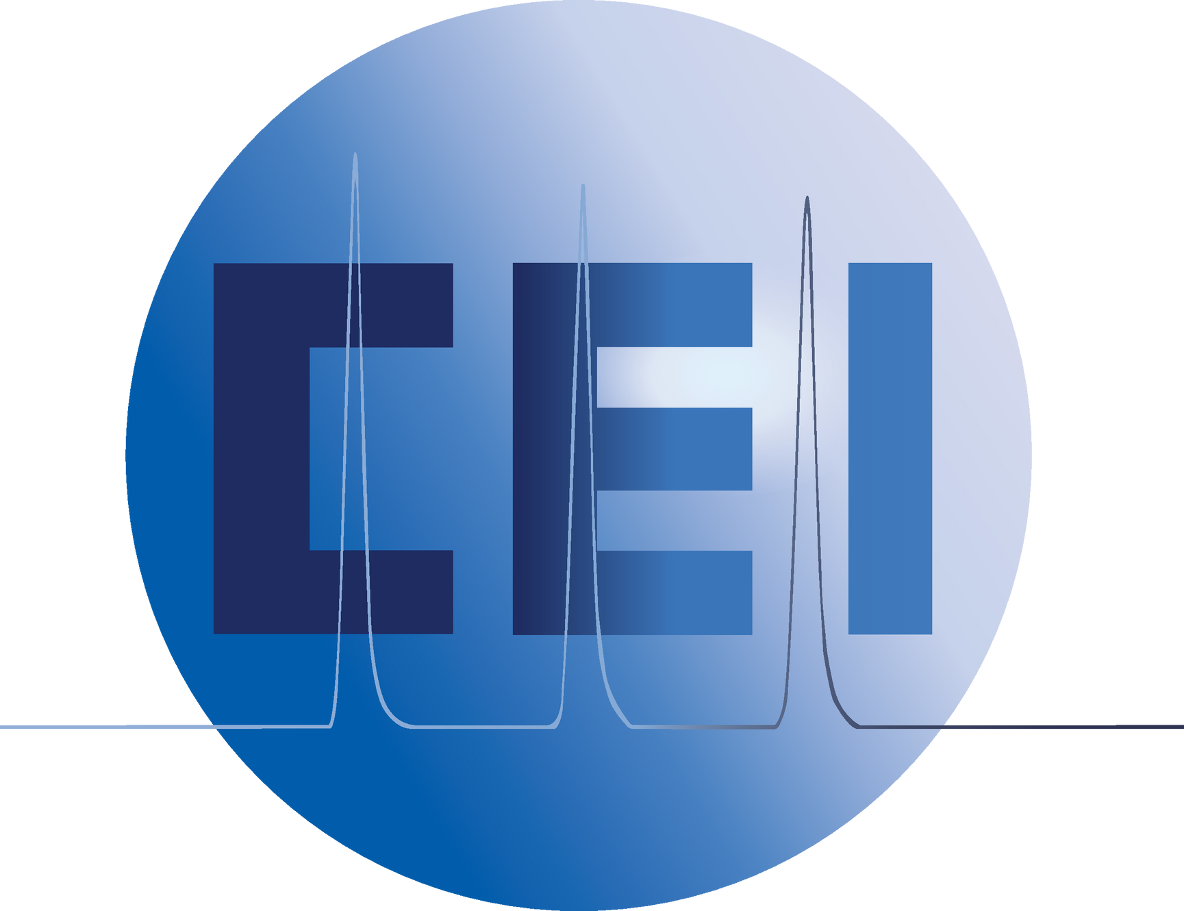 CE Instruments