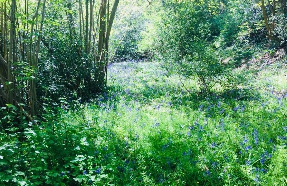 South West Surrey Counselling in Farnham