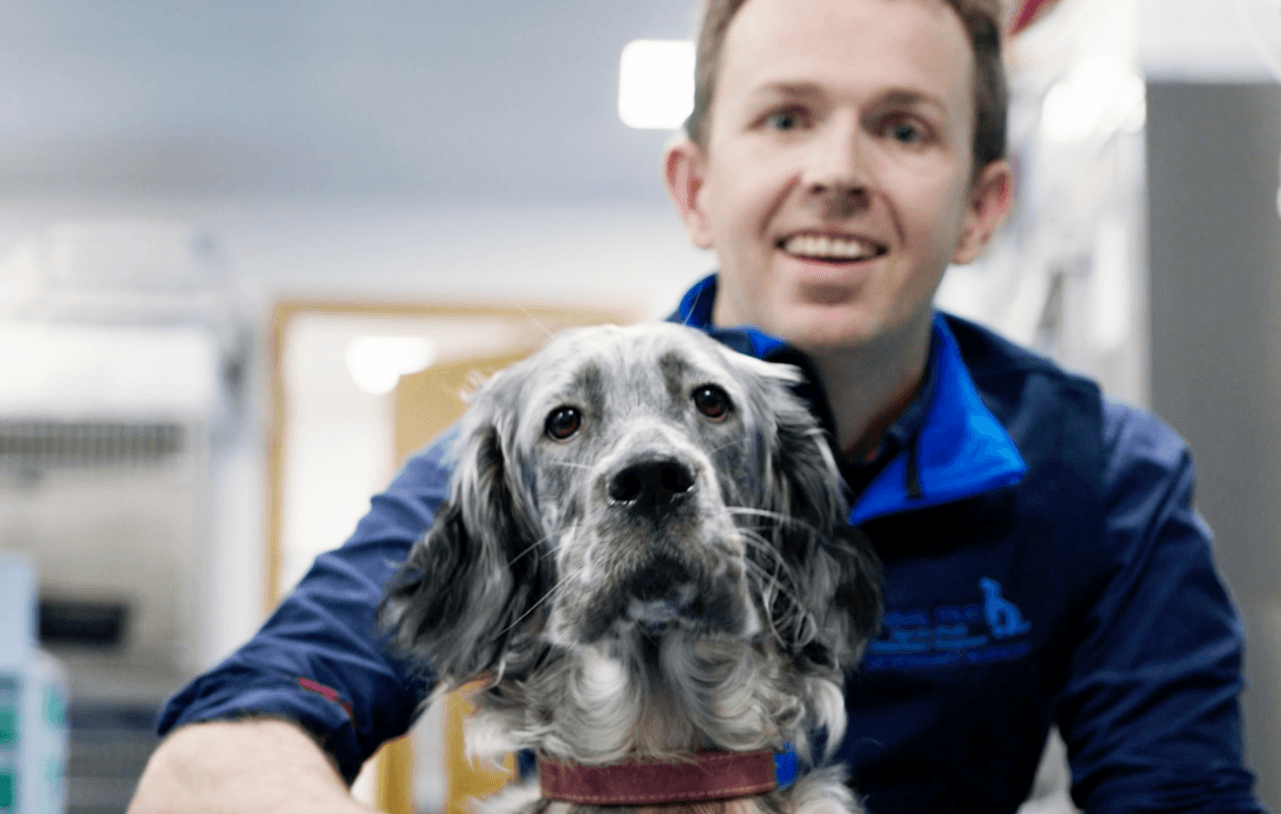 Animal Trust Not for Profit Vets - Blackburn