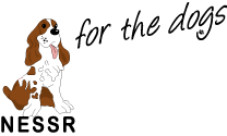 Northern English Springer Spaniel Rescue