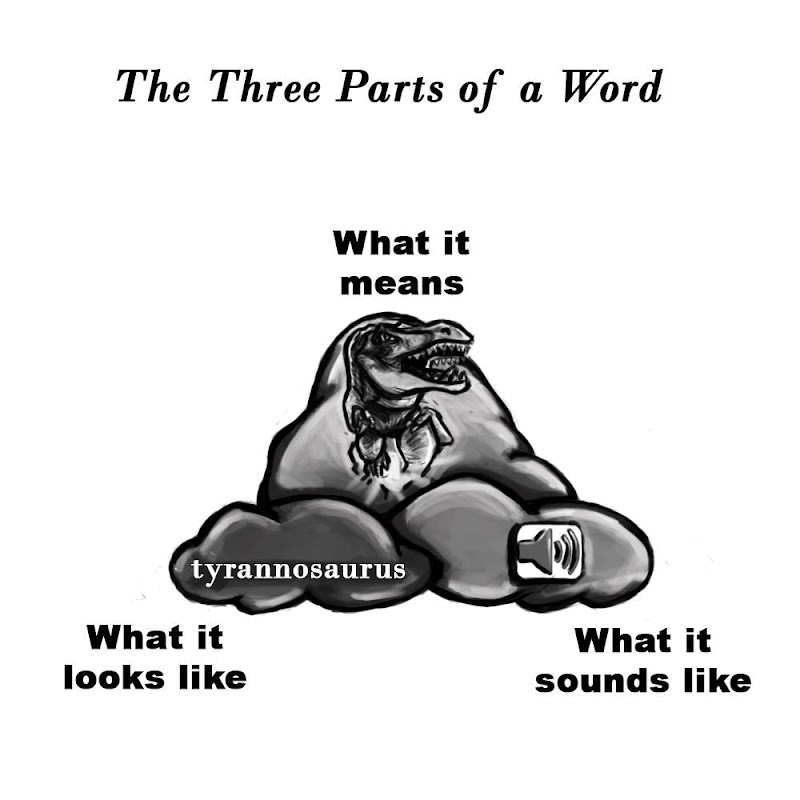 Why Tyrannosaurus But Not If