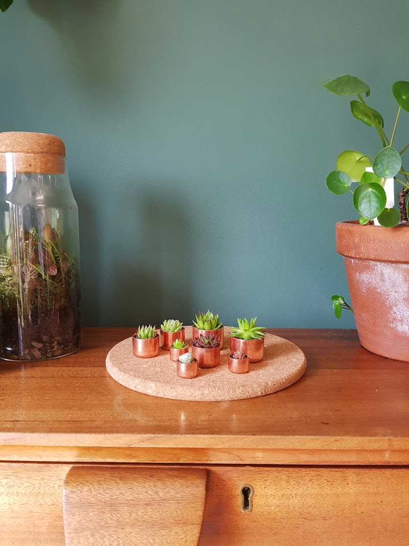Seedhouseplants