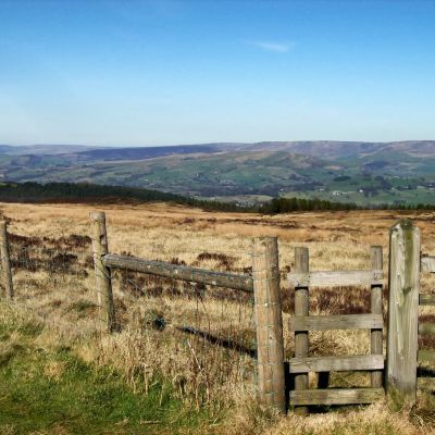 South Dales Mental Health Team
