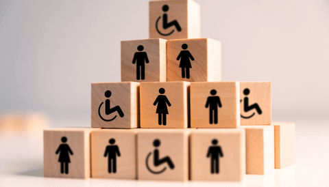 Disability Inclusion and Access to Work Digital Conference
